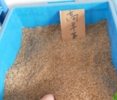 煙臺糊料的應用領域